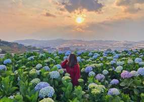 Tour Du Lịch Đà Lạt 3 Ngày 2 Đêm