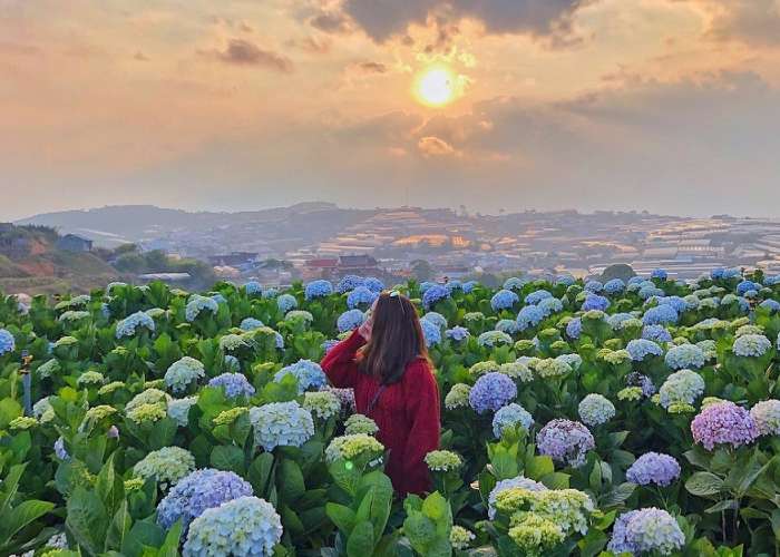 Tour Du Lịch Đà Lạt 3 Ngày 2 Đêm