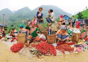 Tour Du Lịch Hà Giang 3 Ngày 2 Đêm Khởi Hành Thứ 6 Hàng Tuần Từ Hà Nội