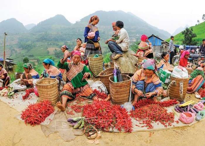 Tour Du Lịch Hà Giang 3 Ngày 2 Đêm Khởi Hành Thứ 6 Hàng Tuần Từ Hà Nội