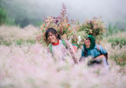 Kinh Nghiệm Du Lịch Hà Giang