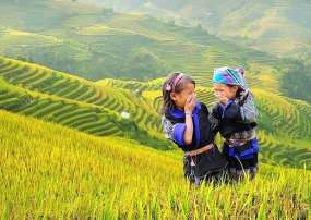 Tour Du Lịch Mù Cang Chải Mùa Lúa Chín 3 Ngày 2 Đêm