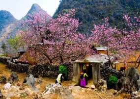 Tour Tây Bắc Hà Nội - Sơn La - Điện Biên - Mộc Châu 4 Ngày