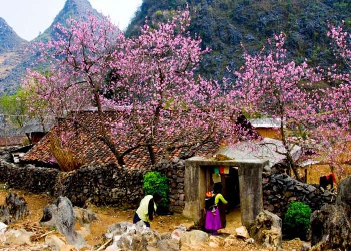 Tour Tây Bắc Hà Nội - Sơn La - Điện Biên - Mộc Châu 4 Ngày
