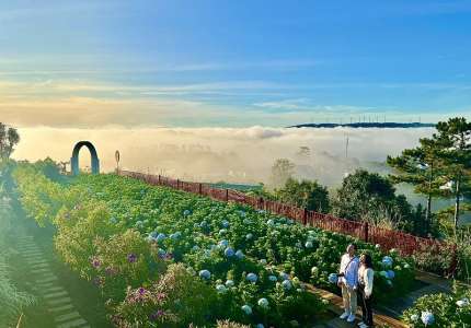 Kinh Nghiệm Du Lịch Đà Lạt Bạn Cần biết