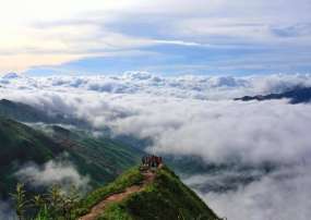 Tour Săn Mây Tà Xùa 2 Ngày 1 Đêm