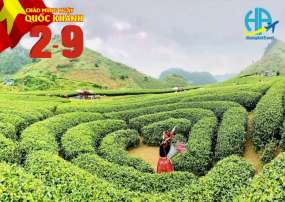Du Lịch Mộc Châu 2 Ngày 1 Đêm 2/9/2023