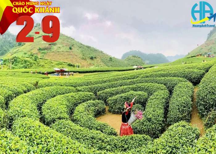 Du Lịch Mộc Châu 2 Ngày 1 Đêm 2/9/2023